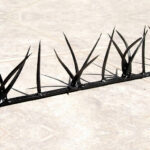 Perfiles de seguridad