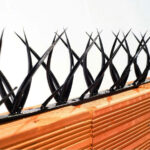 Perfiles de seguridad - Imagen 2