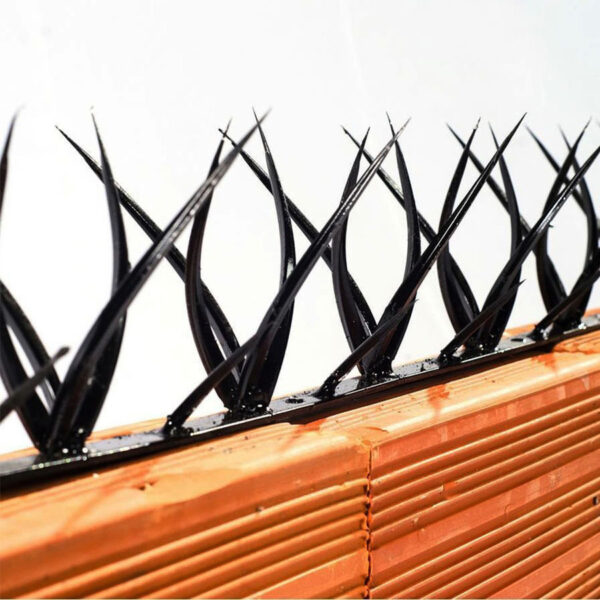 Perfiles de seguridad - Imagen 2